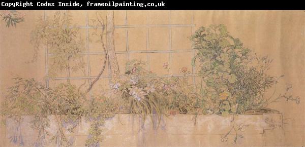 Carl Larsson Flower Bed
